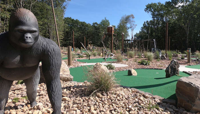 An overview of Legends of the Lost Jungle mini golf with a giant gorilla statue